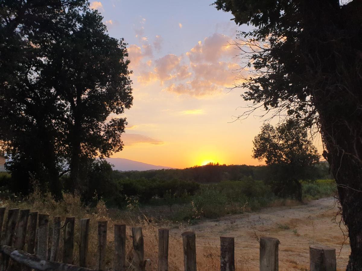 Campagna D'Amare Lägenhet Atessa Exteriör bild
