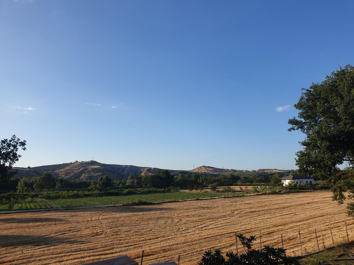 Campagna D'Amare Lägenhet Atessa Exteriör bild